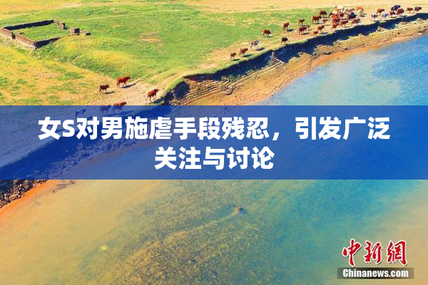 女S对男施虐手段残忍，引发广泛关注与讨论