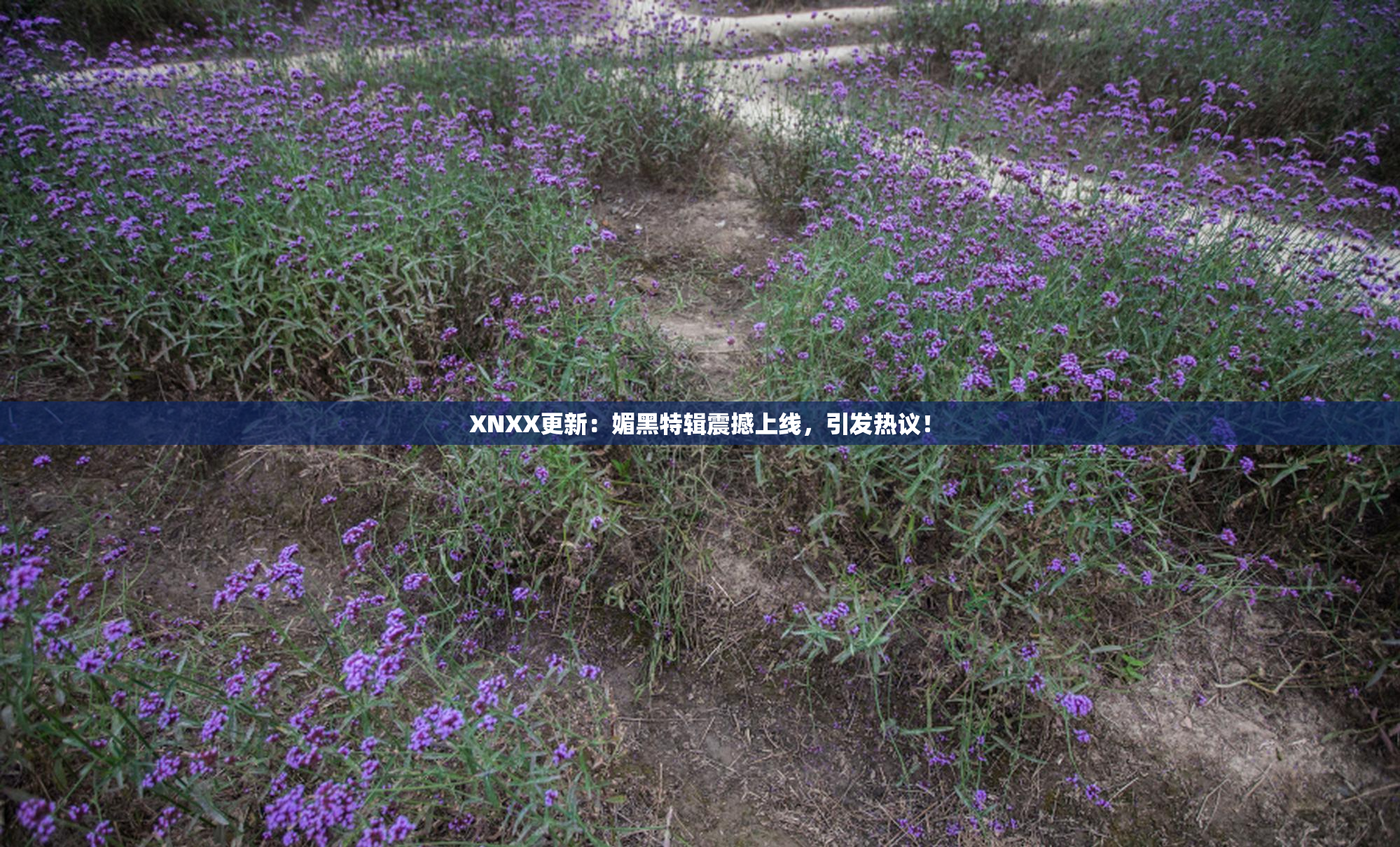 XNXX更新：媚黑特辑震撼上线，引发热议！