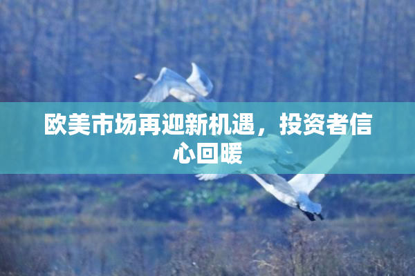 欧美市场再迎新机遇，投资者信心回暖