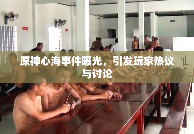 原神心海事件曝光，引发玩家热议与讨论