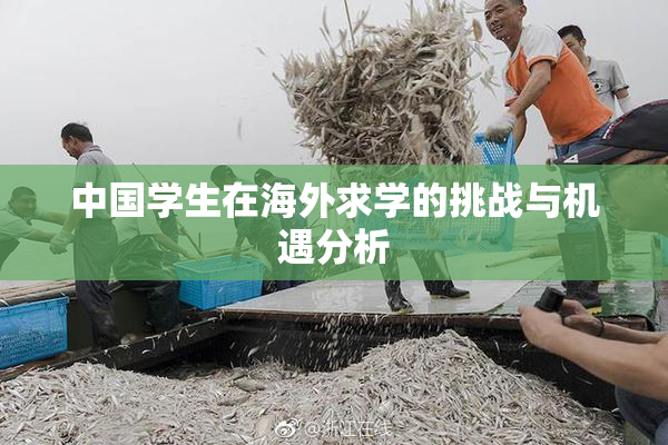 中国学生在海外求学的挑战与机遇分析