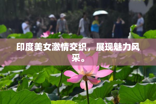 印度美女激情交织，展现魅力风采。