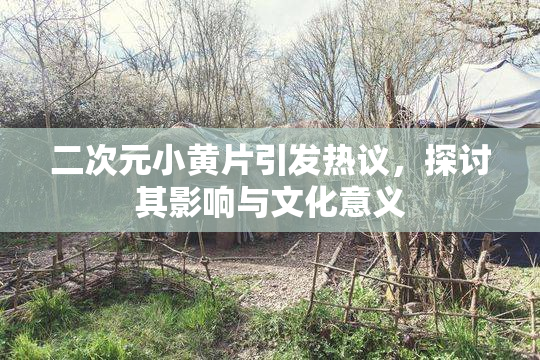 二次元小黄片引发热议，探讨其影响与文化意义