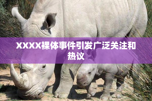 XXXX裸体事件引发广泛关注和热议