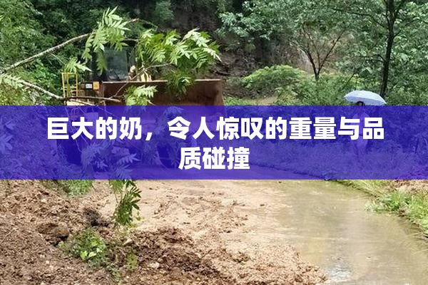 巨大的奶，令人惊叹的重量与品质碰撞