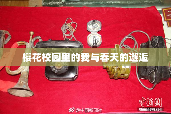 樱花校园里的我与春天的邂逅