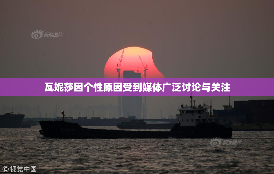 瓦妮莎因个性原因受到媒体广泛讨论与关注