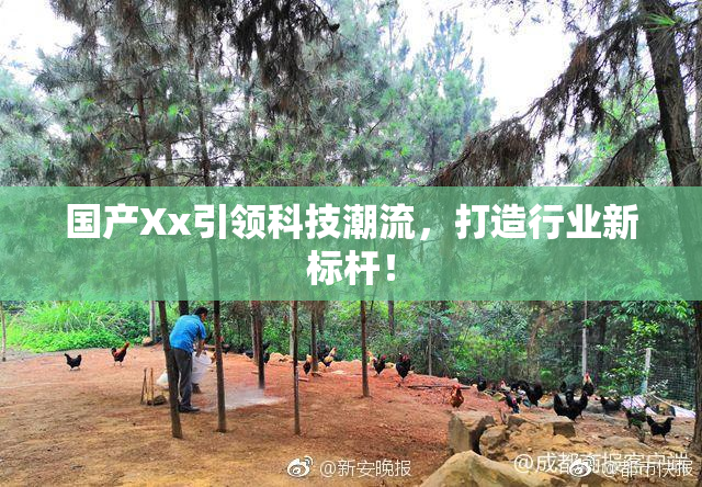 国产Xx引领科技潮流，打造行业新标杆！