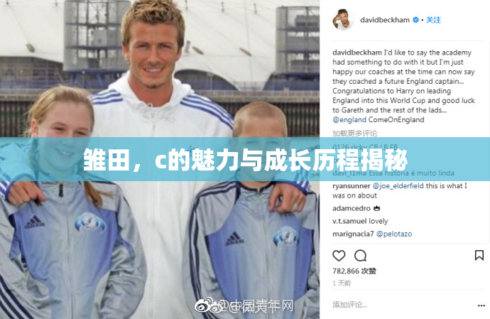 雏田，c的魅力与成长历程揭秘