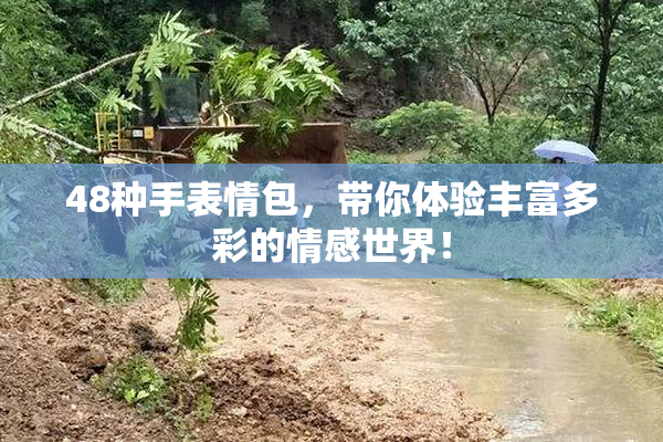 48种手表情包，带你体验丰富多彩的情感世界！
