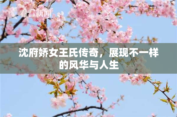 沈府娇女王氏传奇，展现不一样的风华与人生