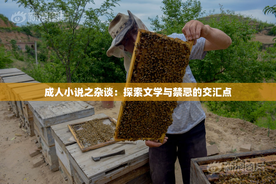 成人小说之杂谈：探索文学与禁忌的交汇点