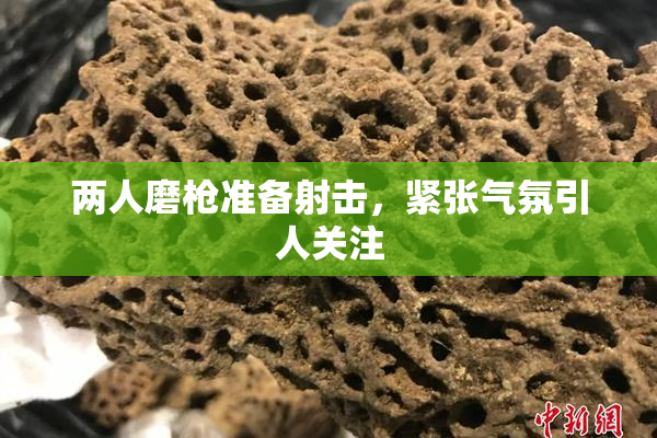 两人磨枪准备射击，紧张气氛引人关注
