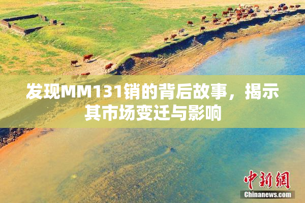 发现MM131销的背后故事，揭示其市场变迁与影响