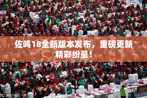 佐鸣18全新版本发布，重磅更新精彩纷呈！