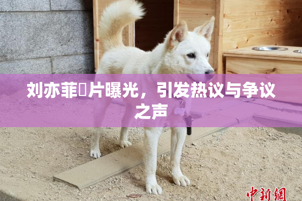 刘亦菲婬片曝光，引发热议与争议之声