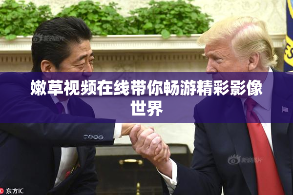 嫩草视频在线带你畅游精彩影像世界