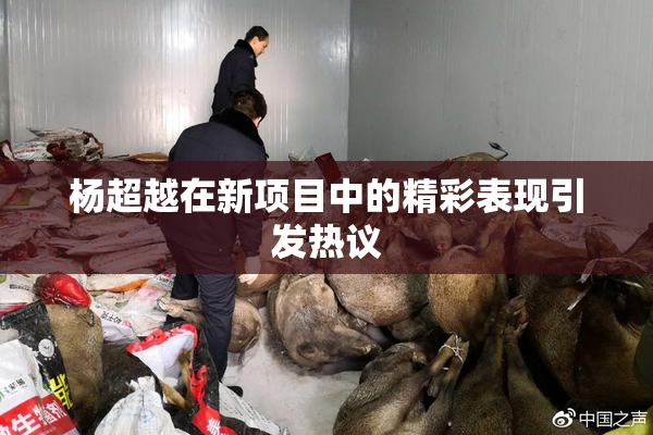 杨超越在新项目中的精彩表现引发热议