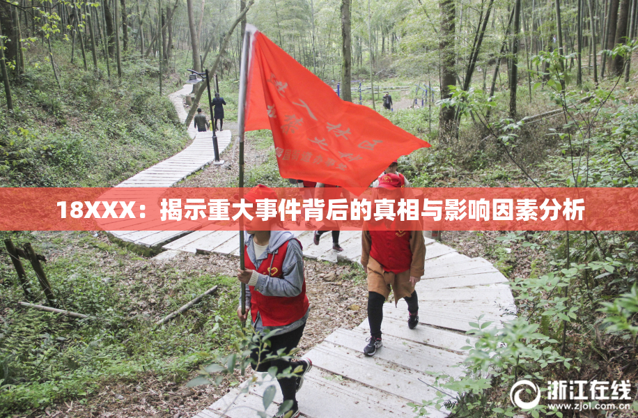 18XXX：揭示重大事件背后的真相与影响因素分析