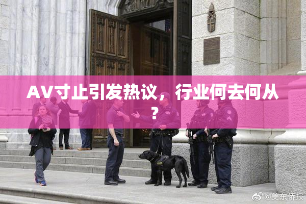 AV寸止引发热议，行业何去何从？