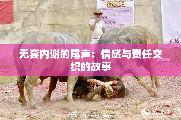 无套内谢的尾声：情感与责任交织的故事