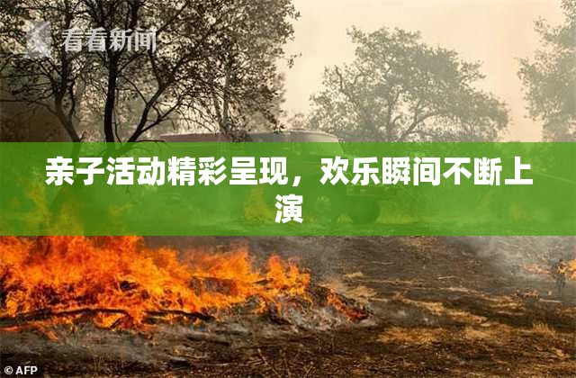 亲子活动精彩呈现，欢乐瞬间不断上演