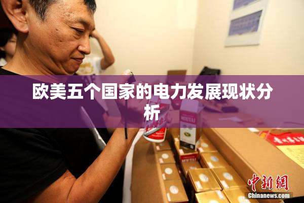 欧美五个国家的电力发展现状分析