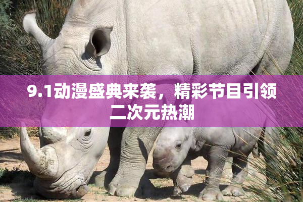 9.1动漫盛典来袭，精彩节目引领二次元热潮