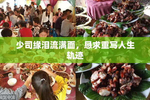 少司缘泪流满面，恳求重写人生轨迹