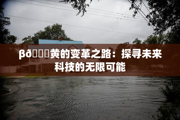 β🔞黄的变革之路：探寻未来科技的无限可能