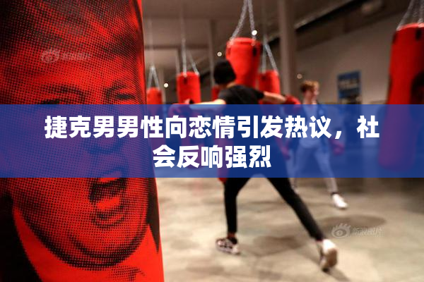 捷克男男性向恋情引发热议，社会反响强烈