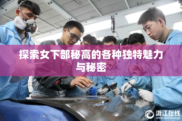探索女下部秘高的各种独特魅力与秘密
