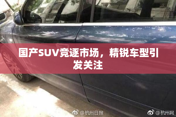 国产SUV竞逐市场，精锐车型引发关注