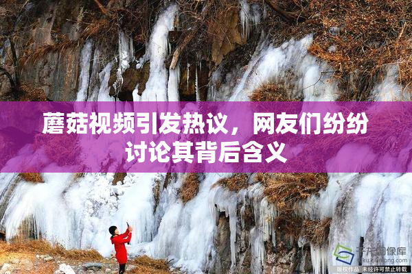 蘑菇视频引发热议，网友们纷纷讨论其背后含义