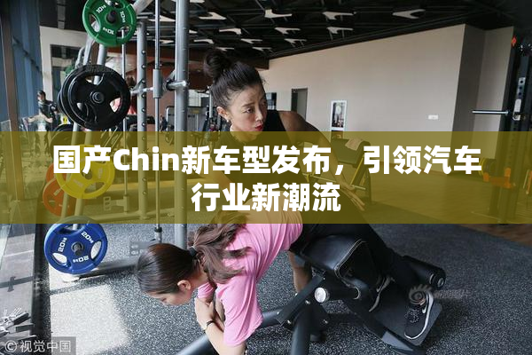 国产Chin新车型发布，引领汽车行业新潮流