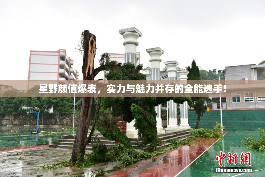 星野颜值爆表，实力与魅力并存的全能选手！