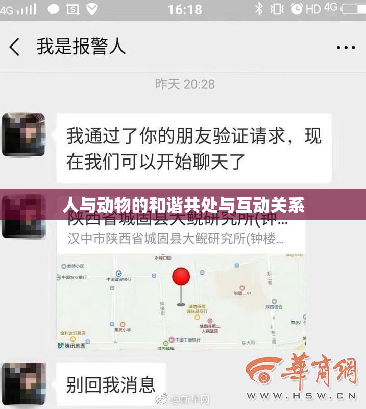 人与动物的和谐共处与互动关系