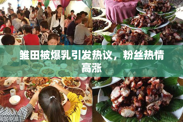 雏田被爆乳引发热议，粉丝热情高涨