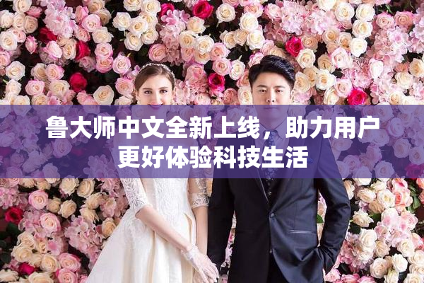 鲁大师中文全新上线，助力用户更好体验科技生活
