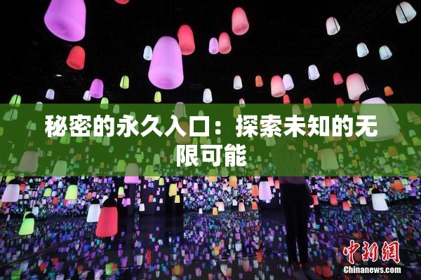 秘密的永久入口：探索未知的无限可能