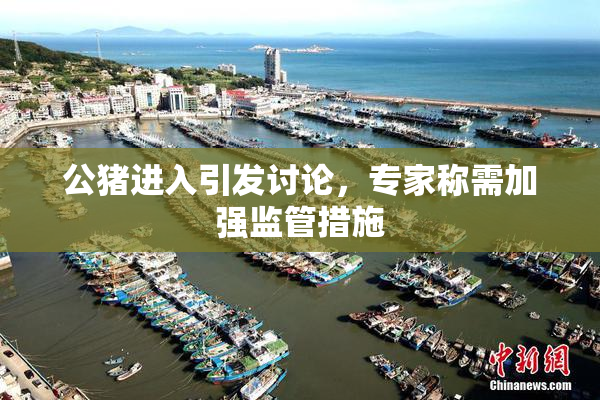 公猪进入引发讨论，专家称需加强监管措施