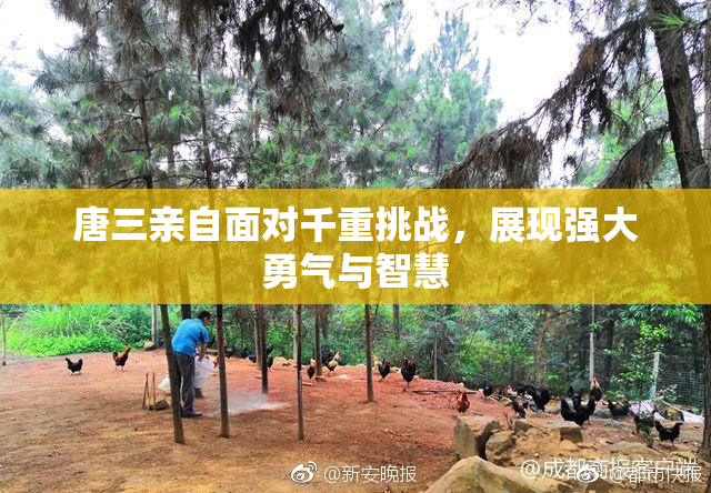 唐三亲自面对千重挑战，展现强大勇气与智慧