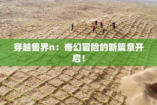穿越兽界n：奇幻冒险的新篇章开启！