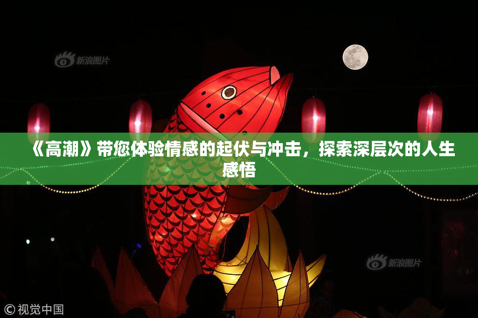 《高潮》带您体验情感的起伏与冲击，探索深层次的人生感悟
