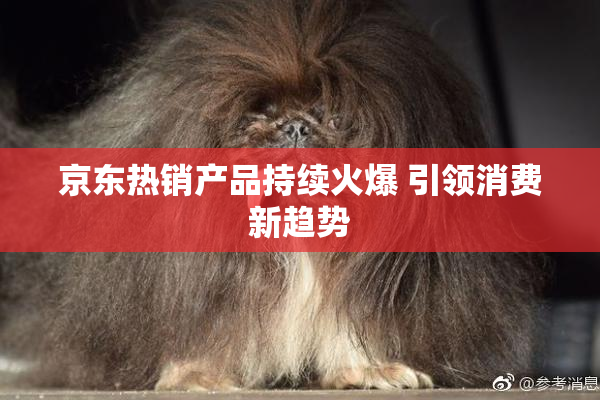 京东热销产品持续火爆 引领消费新趋势