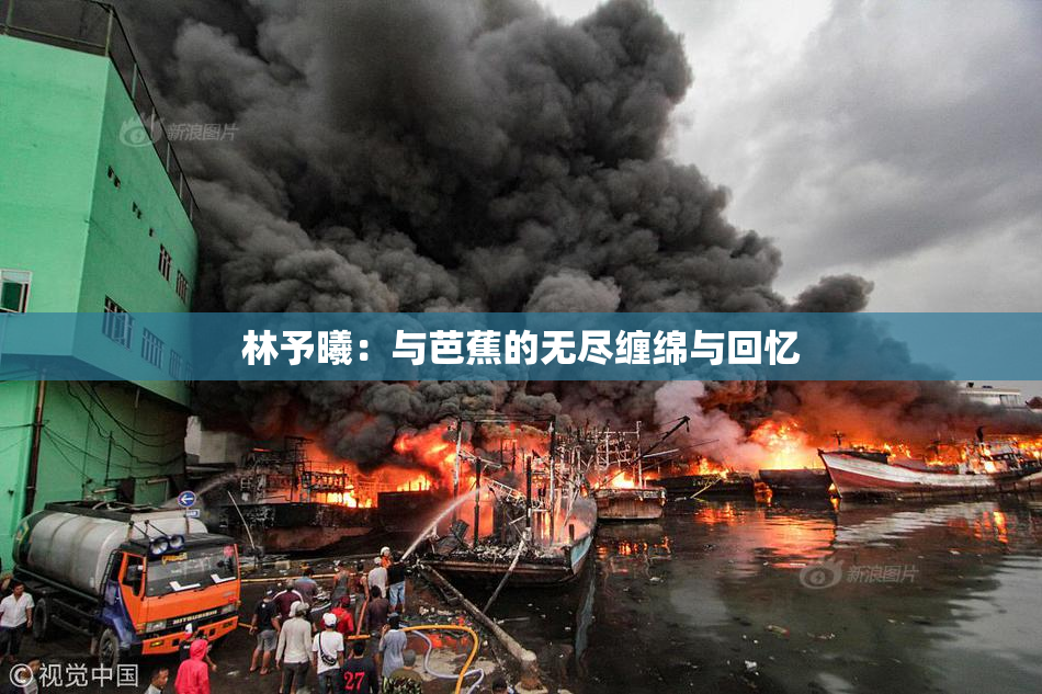 林予曦：与芭蕉的无尽缠绵与回忆