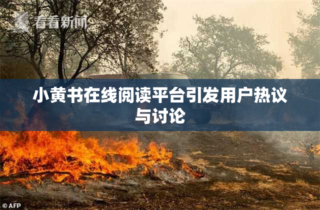 小黄书在线阅读平台引发用户热议与讨论