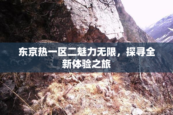 东京热一区二魅力无限，探寻全新体验之旅