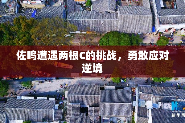 佐鸣遭遇两根C的挑战，勇敢应对逆境