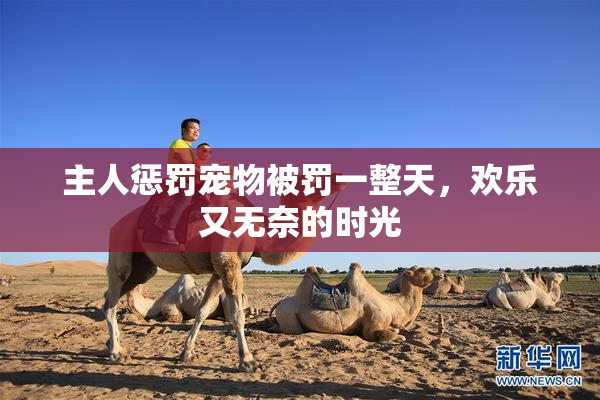 主人惩罚宠物被罚一整天，欢乐又无奈的时光